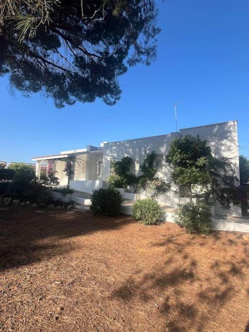 Villa Bouganville 2 אוסטוני מראה חיצוני תמונה