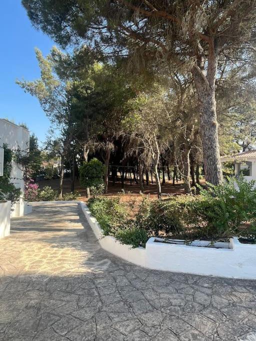 Villa Bouganville 2 אוסטוני מראה חיצוני תמונה